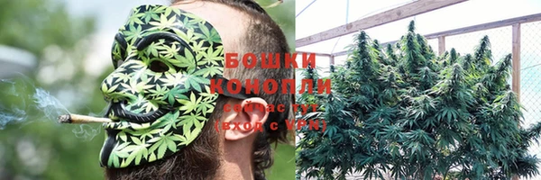 MESCALINE Гусев