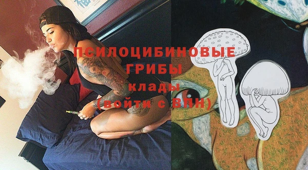 MESCALINE Гусев